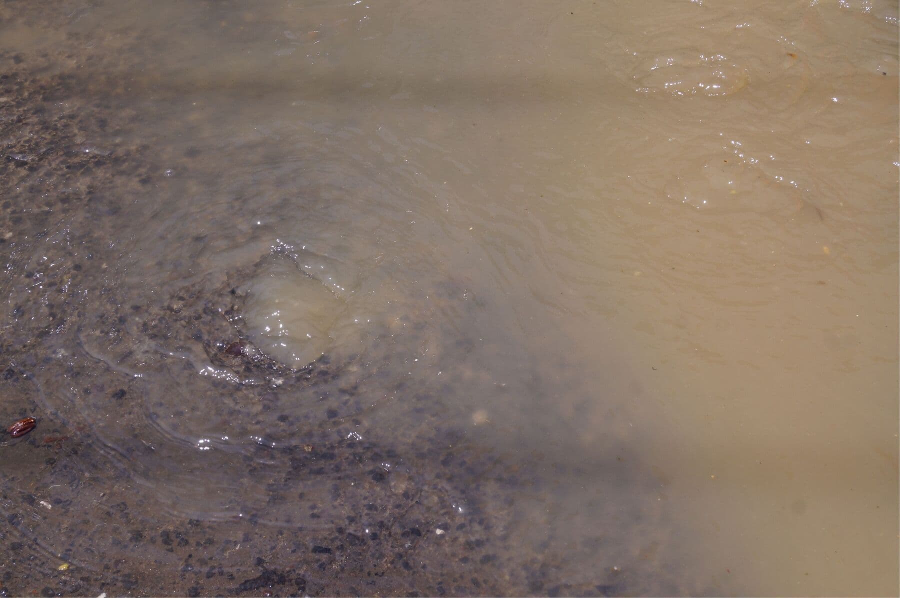 1. agua.jpg leaks