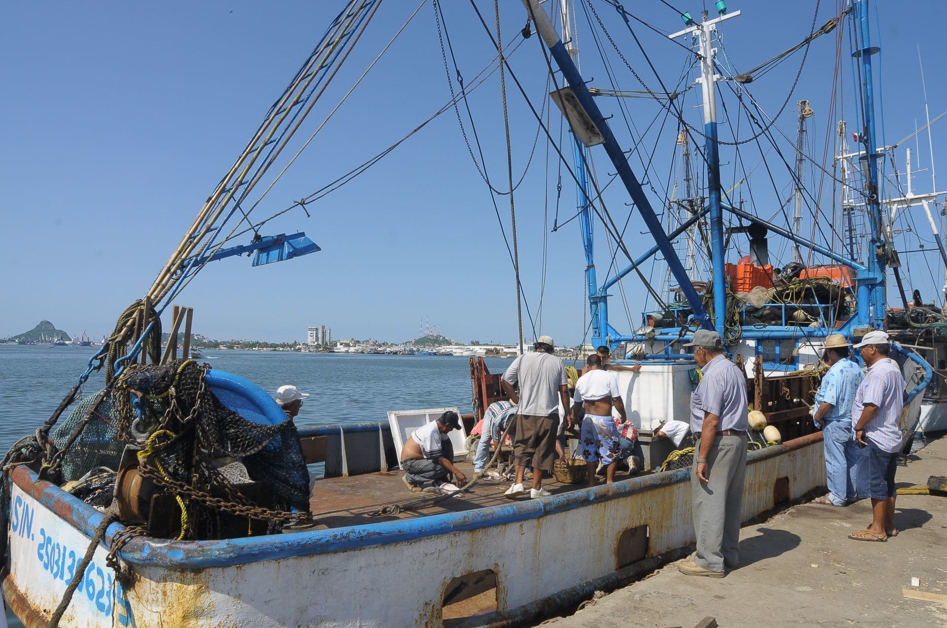 Barco camaronero en Mazatlán descarga captura realizada tras 4 días en el mar. Foto: Víctor Hugo Olivas/ Cuartoscuro