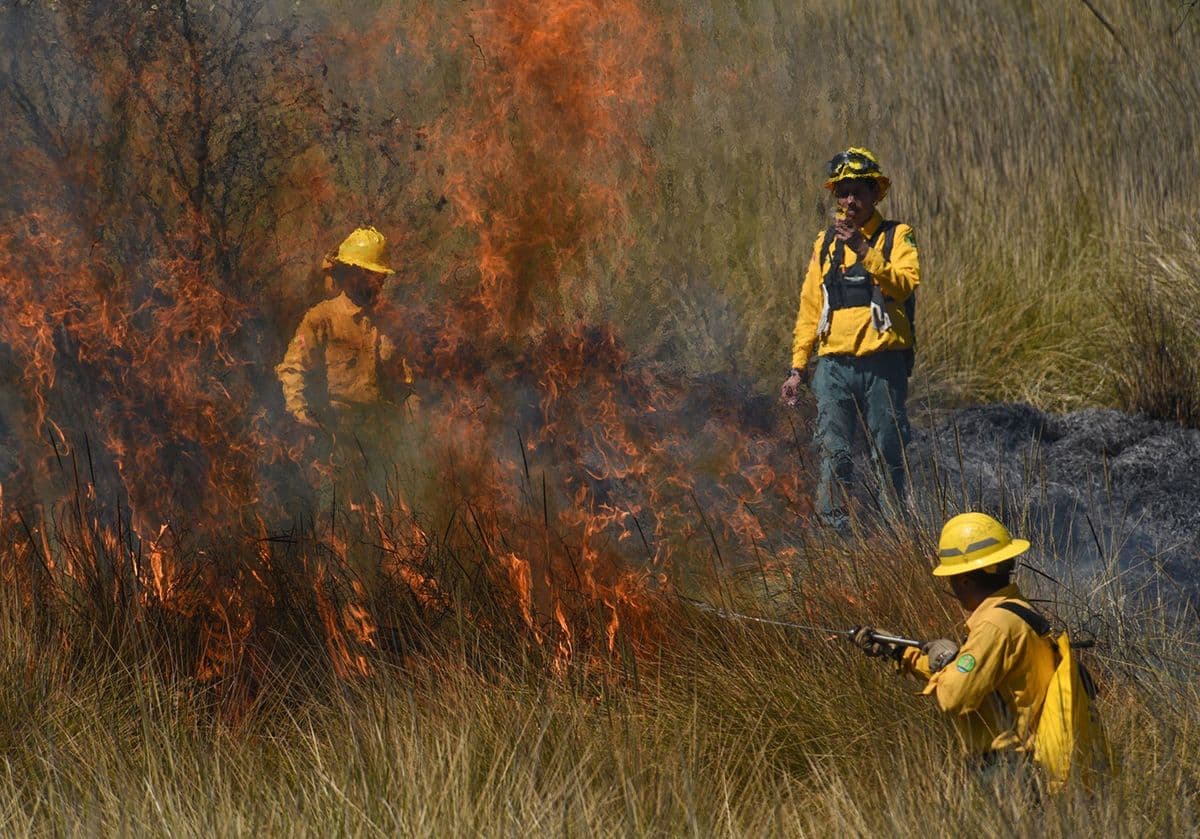 Brigadistas controlando incendios. Foto: Crisanta Espinosa Aguilar/Cuartoscuro.com