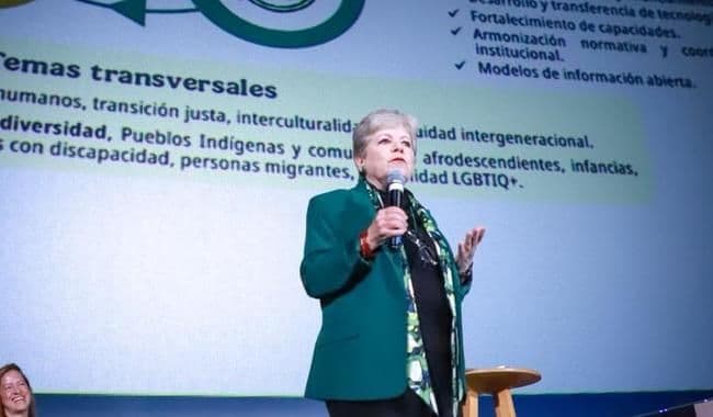 Alicia Bárcena.jpg