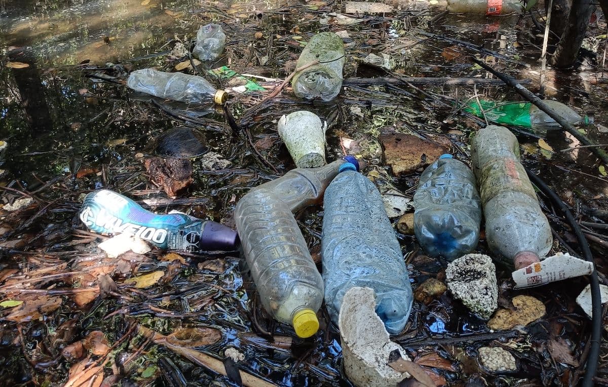 Basura Urías.jpg