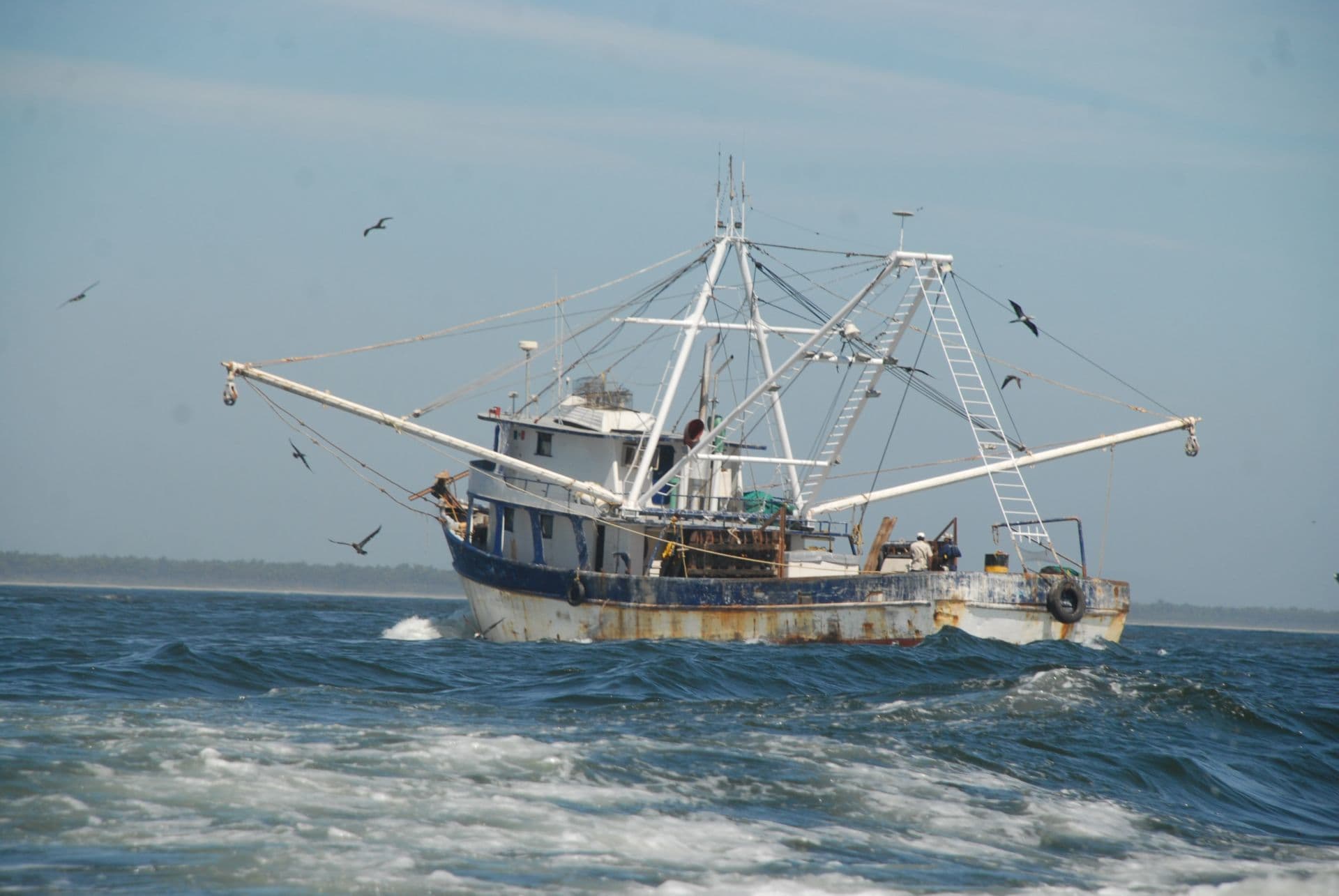Los barcos camaroneros no tienen permiso para estar en las bahías, salvo excepciones. En la imagen un barco en Mazatlán. Foto: Víctor Hugo Olivas/ Cuartoscuro