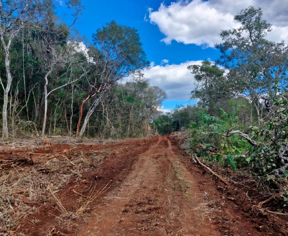 rojo.jpg path