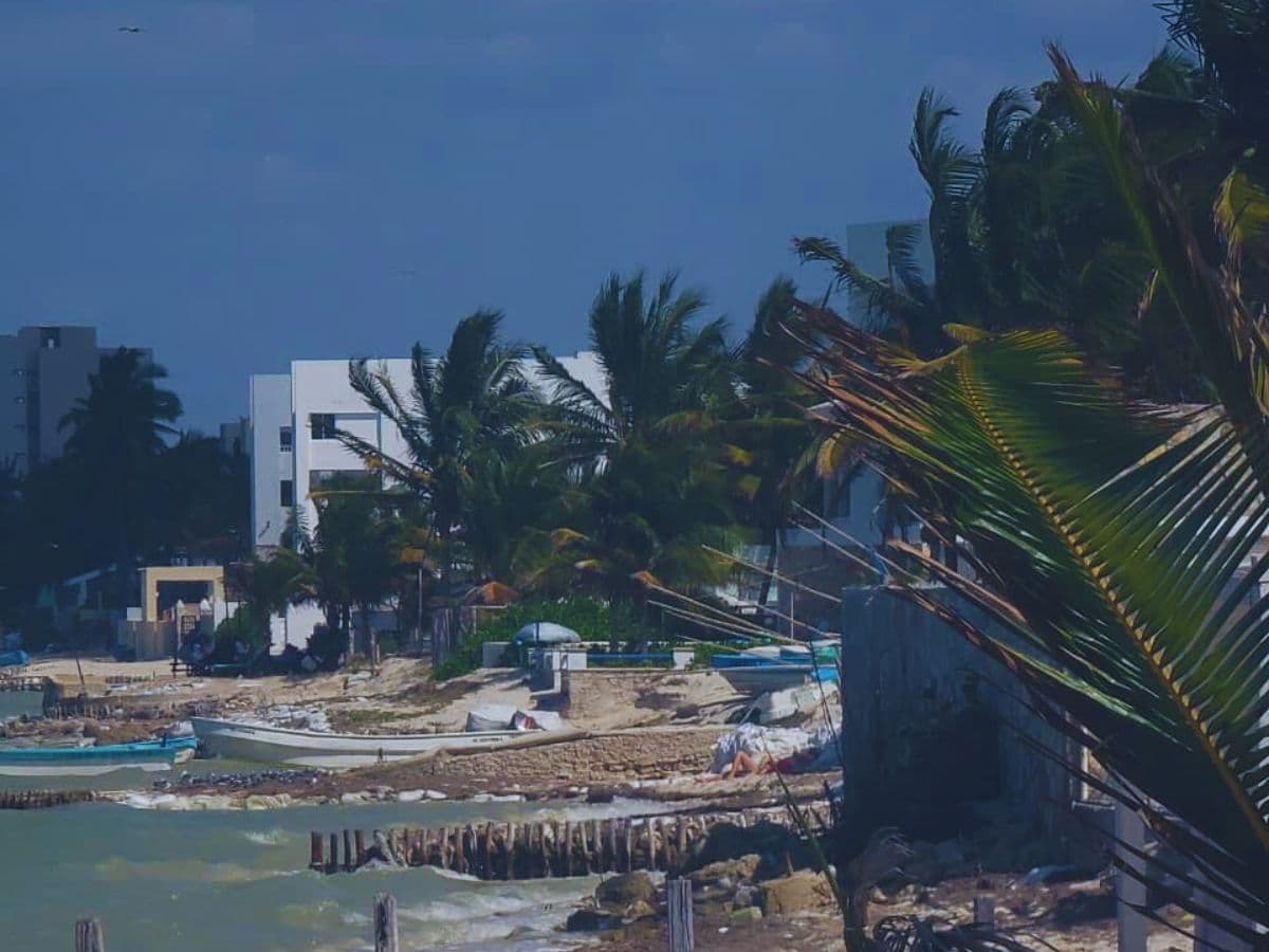 Casas.jpg