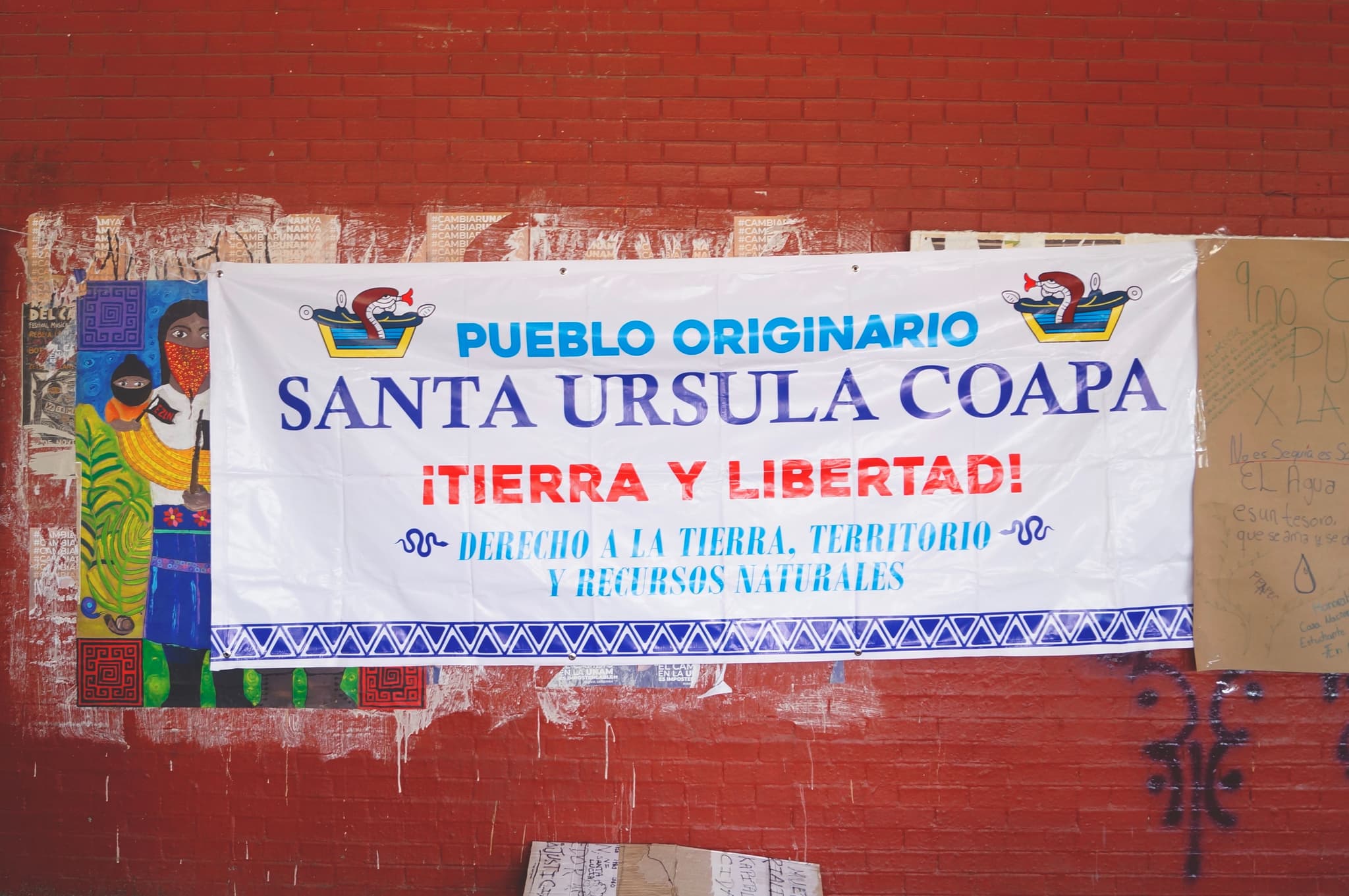 _DSC4176.jpeg