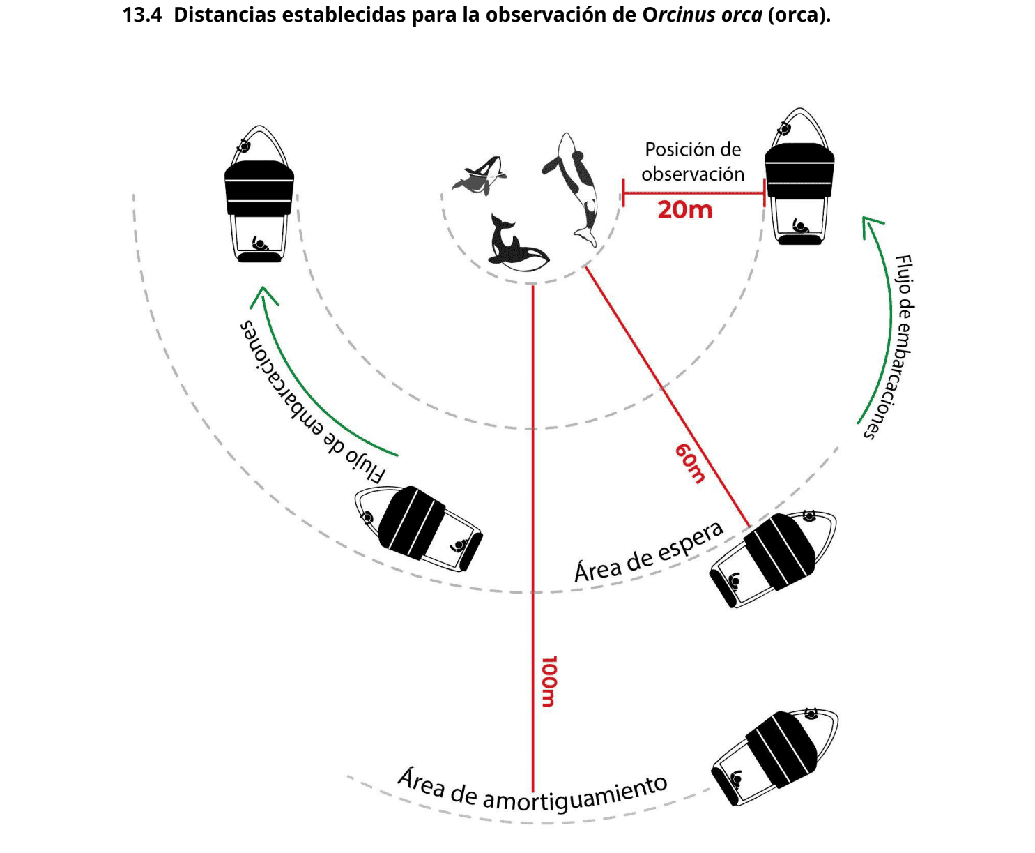 Distancia observación.png
