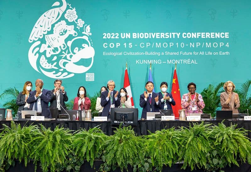 Biodiversidad.jpg Photo 2 Mexico COP16
