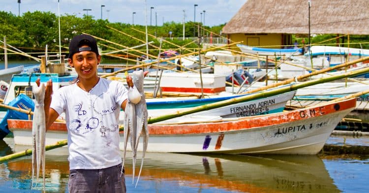 Gobierno de Yucatán.jpg