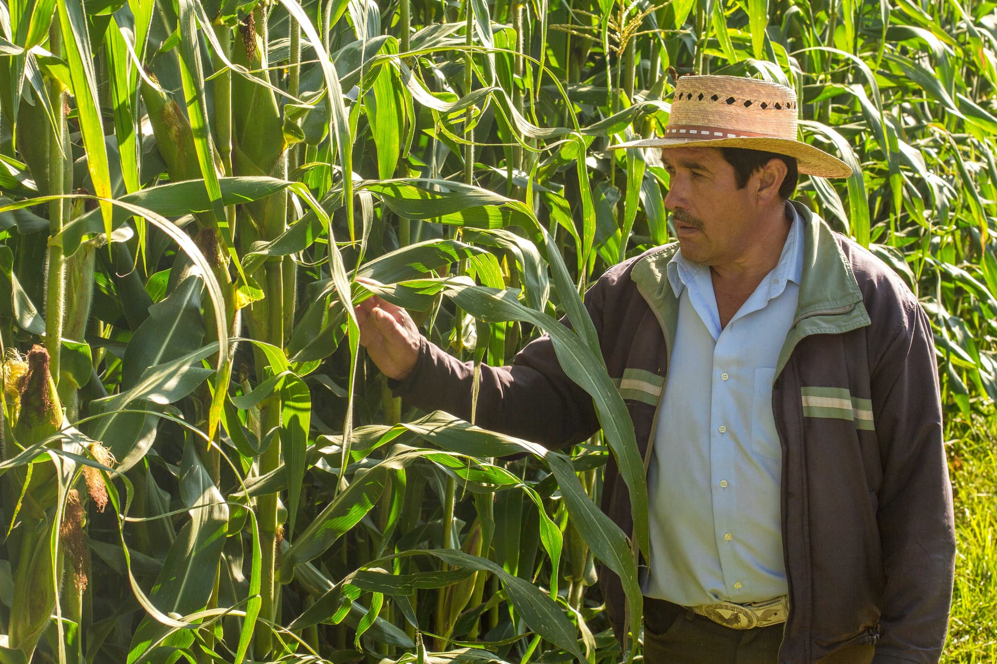 México COP16 de Biodiversidad 2.jpg