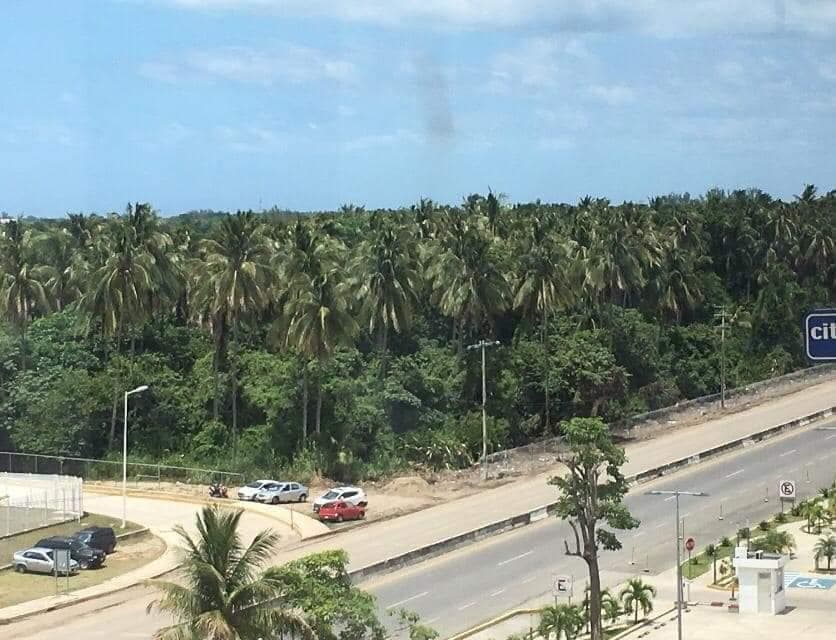 Paradise antes.jpg
