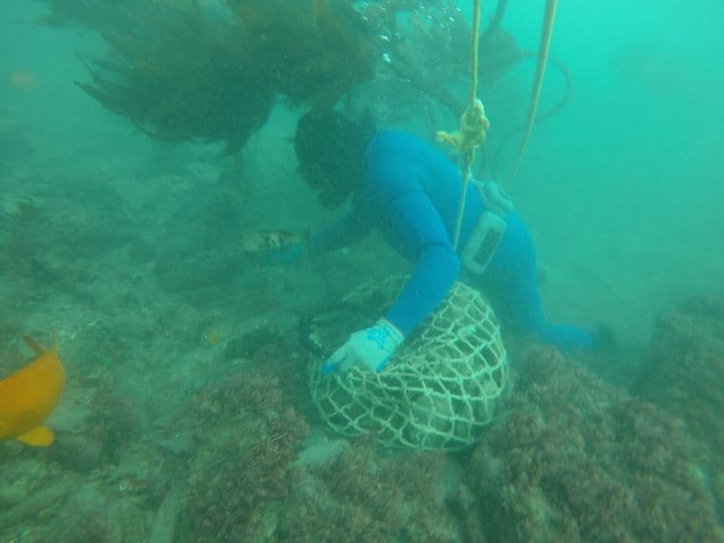pescadores Progreso BCS.jpeg
