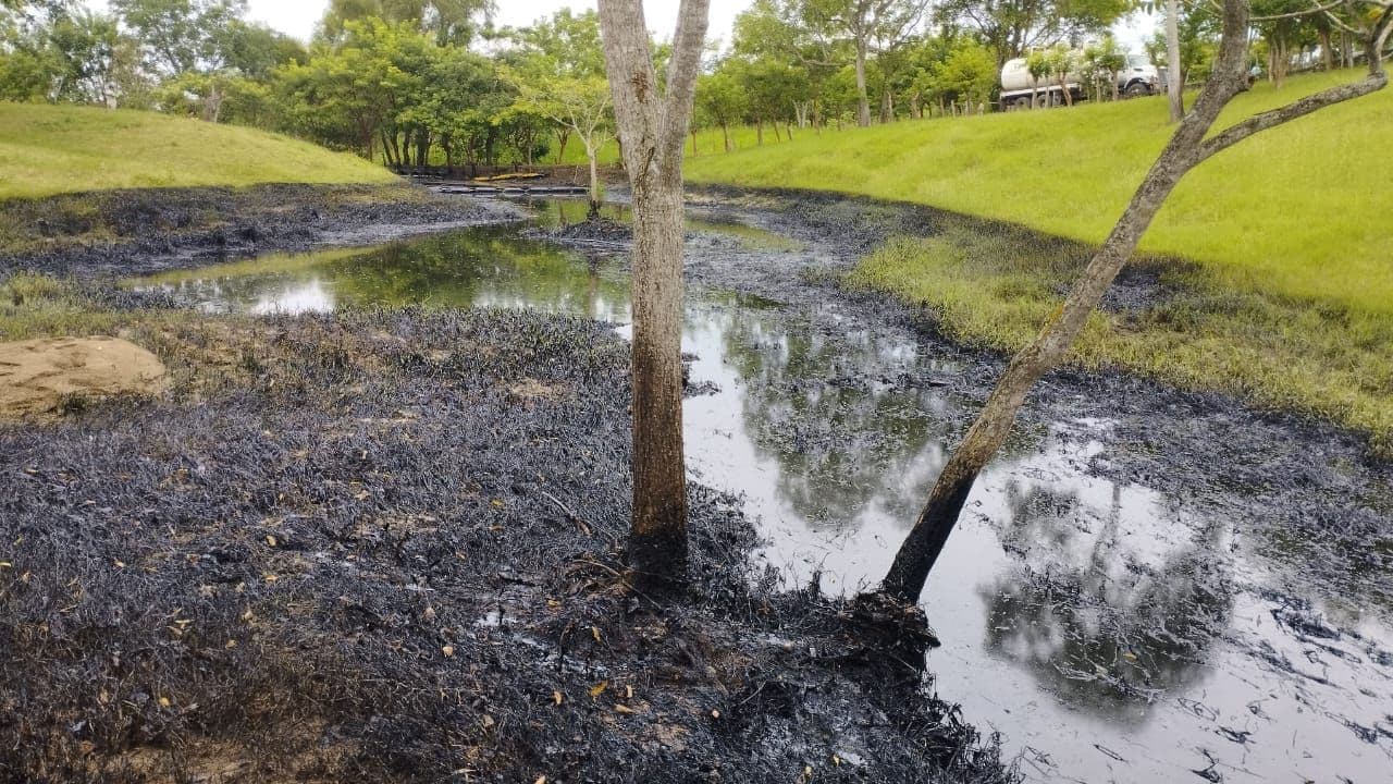 Derrames de petróleo Pemex Ojital Viejo 7.jpeg