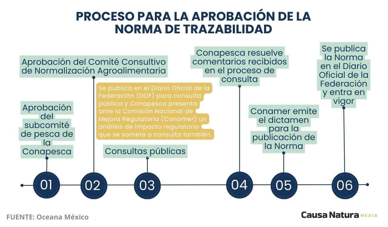 Gráfico línea de tiempo Timeline Flujo proceso Progreso Moderno Beige.jpg