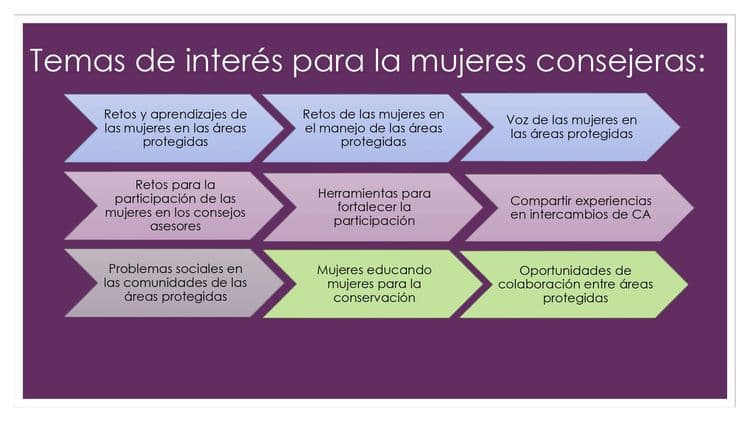 temas_interes_mujeres_consejeras